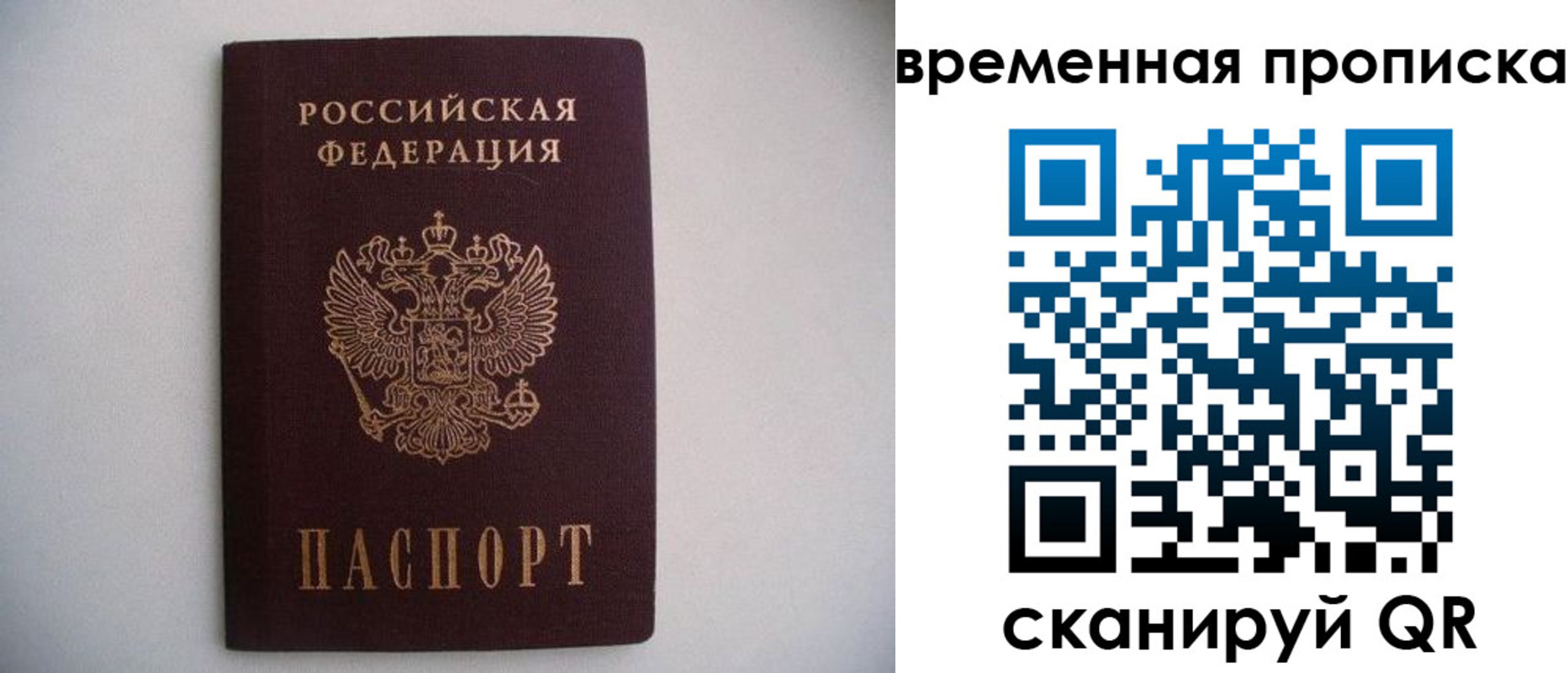 прописка для работы в Ленинградской области
